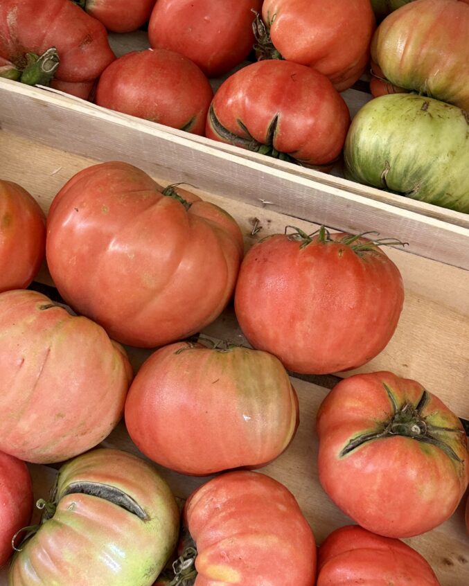 Italian salad tomatoes